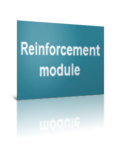 reinforcement